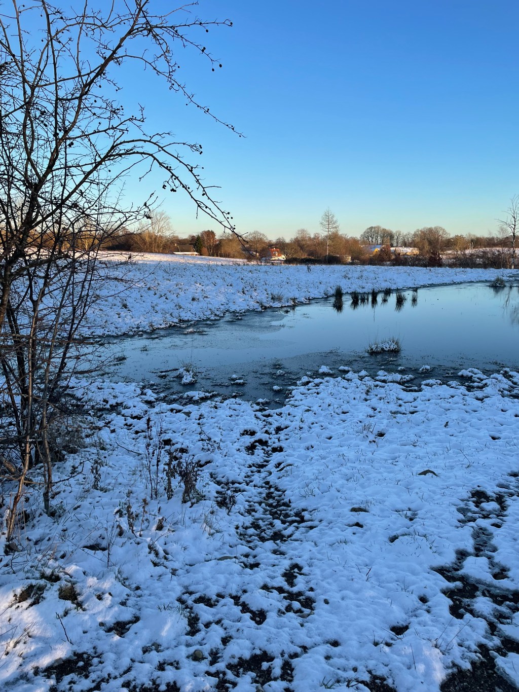 Numerologisk Energiprognose Januar&nbsp;2025